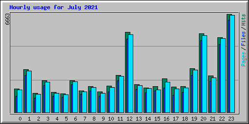 Hourly usage for July 2021