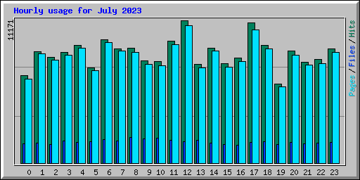 Hourly usage for July 2023