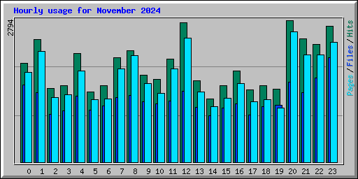 Hourly usage for November 2024