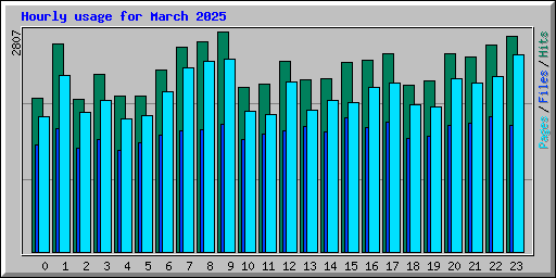 Hourly usage for March 2025