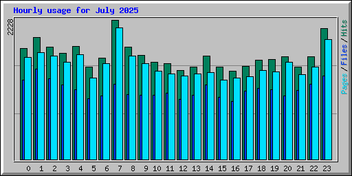 Hourly usage for July 2025