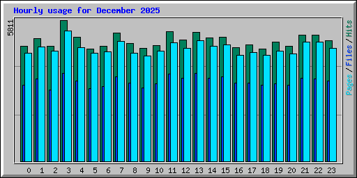 Hourly usage for December 2025