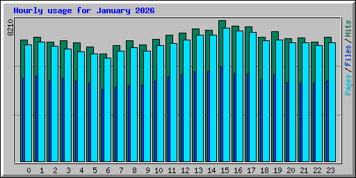 Hourly usage for January 2026