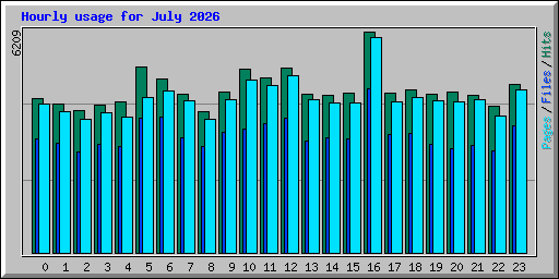 Hourly usage for July 2026