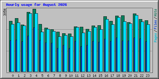 Hourly usage for August 2026